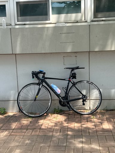 첼로 스칼라티 픽시 자전거 사진
