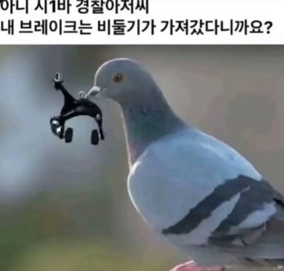 도황 프로필 이미지