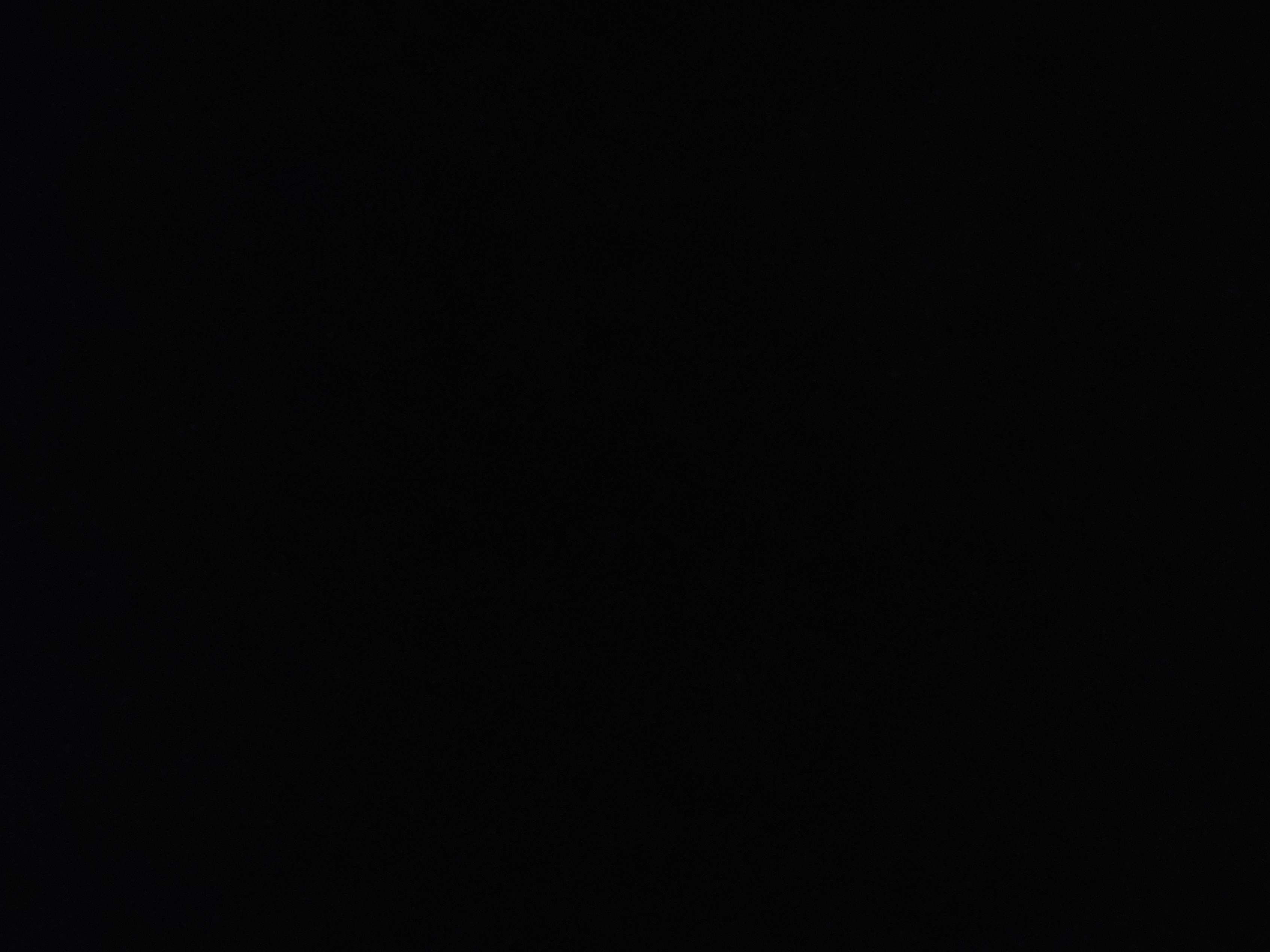 패션픽도