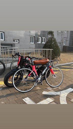 나를 있게 해준 차대2 픽시 자전거 사진