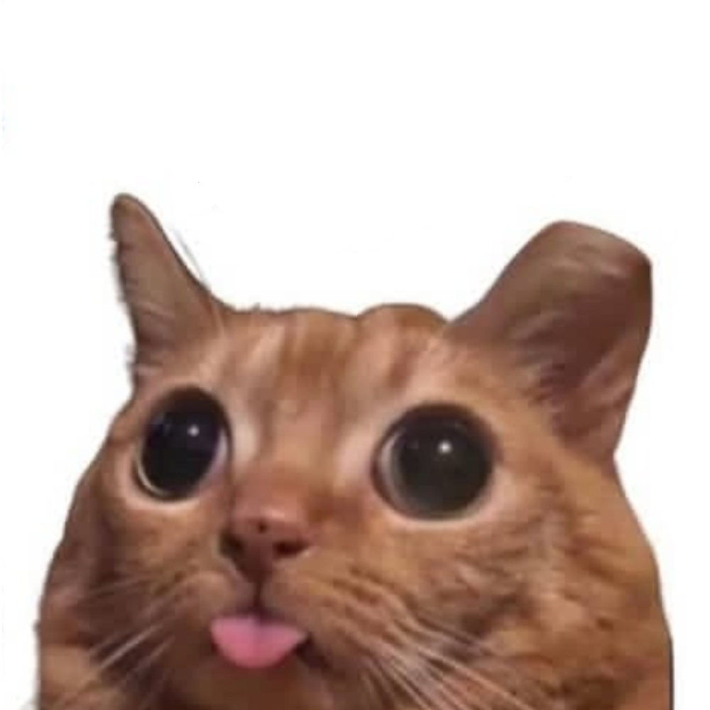 김지후