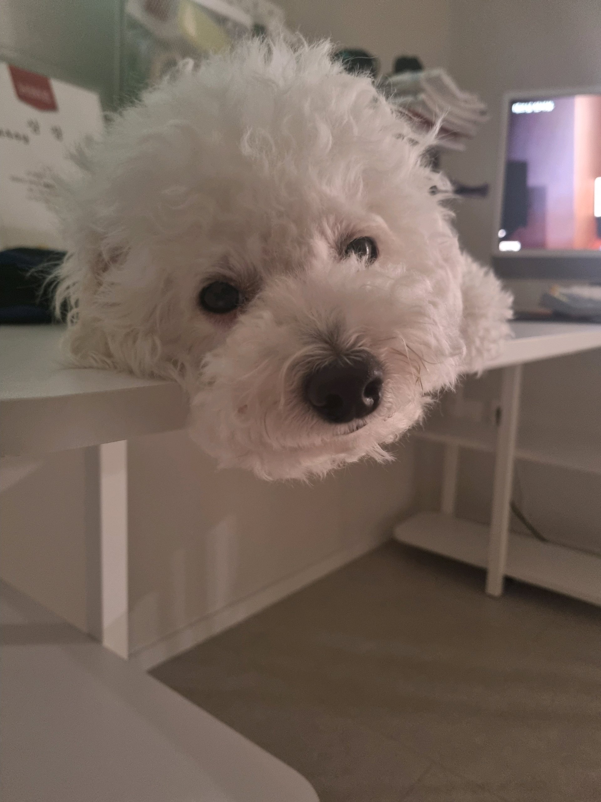 관종아님 🥵🥵 프로필 이미지