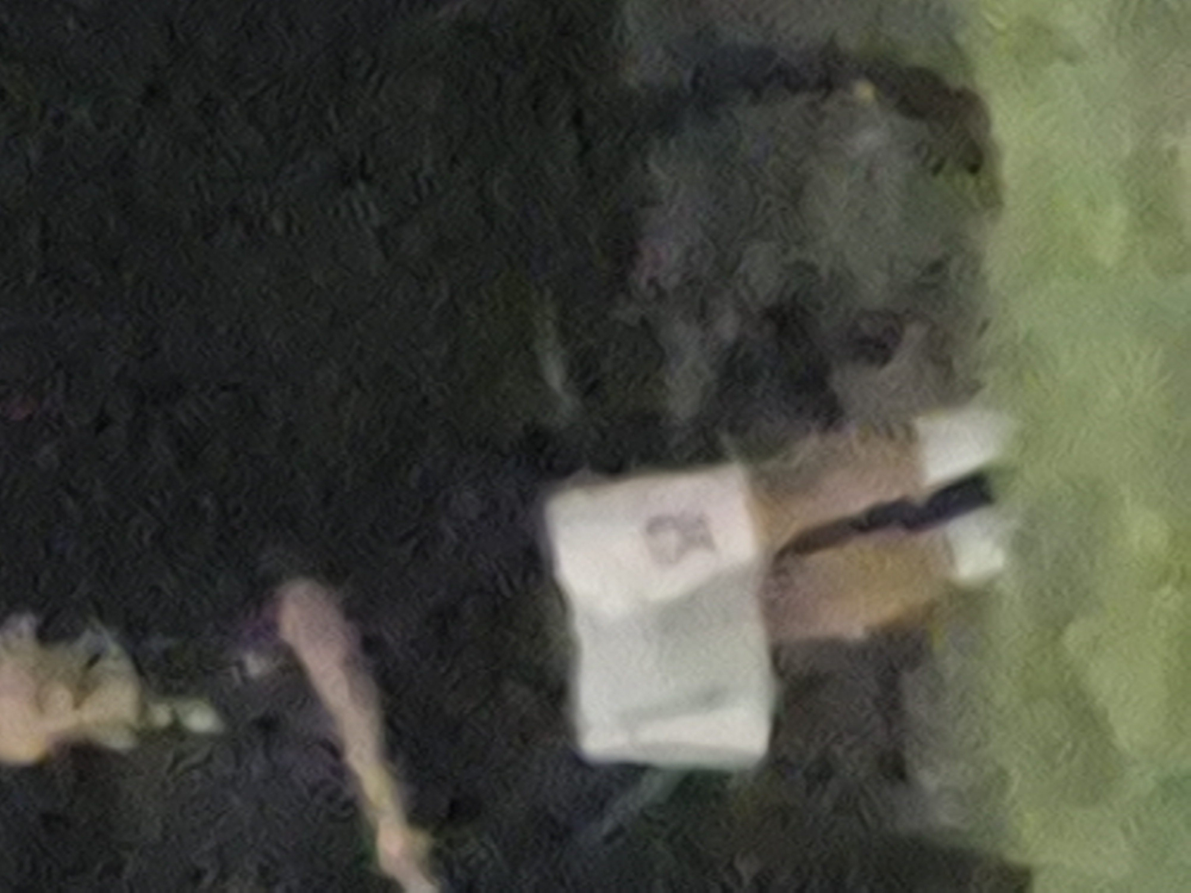 미숙운전 프로필 이미지