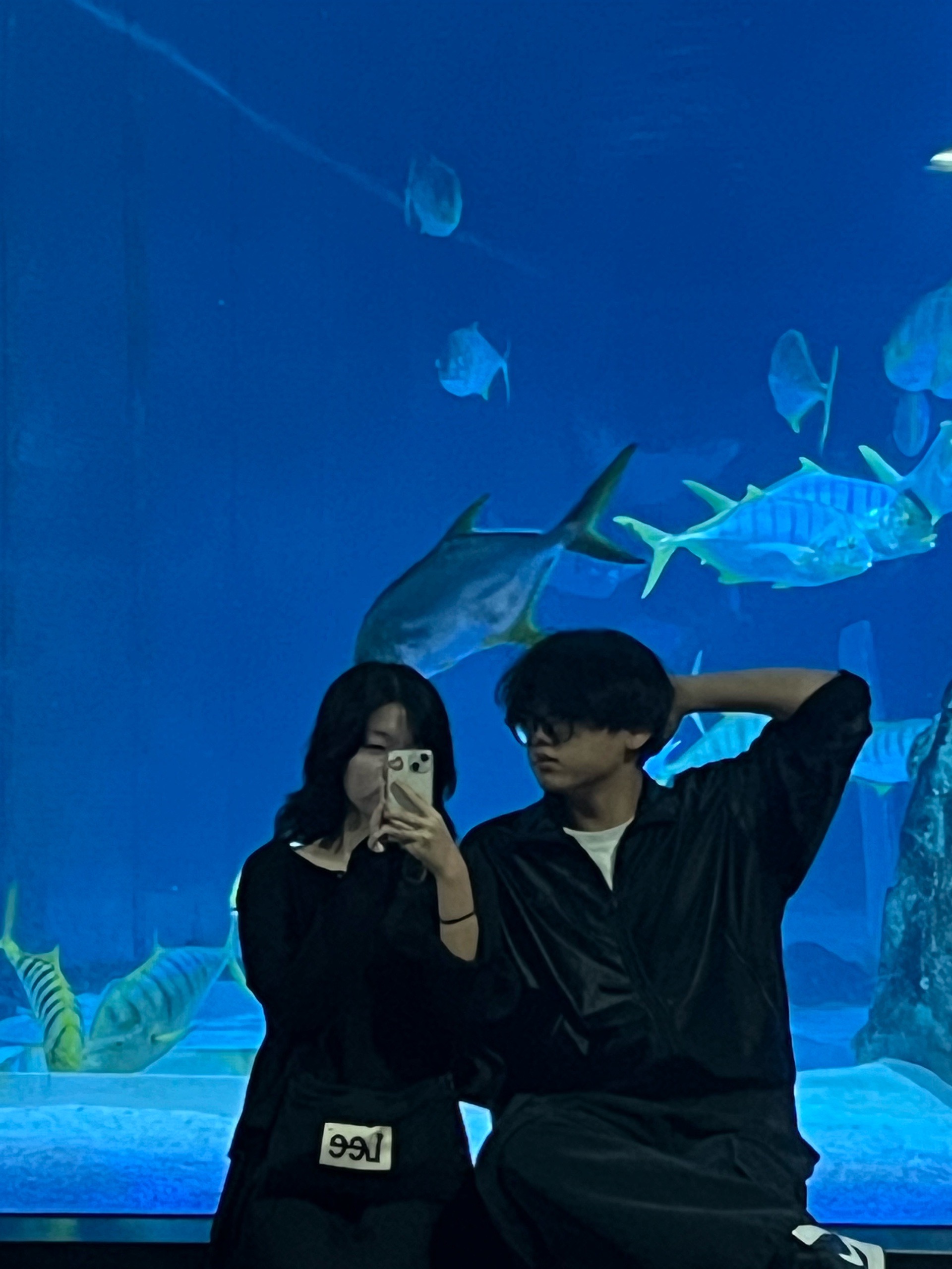 김낭락베라