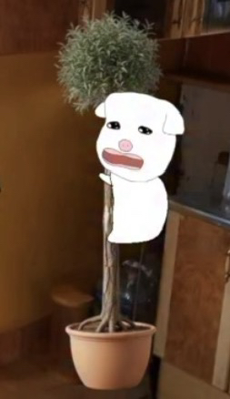 허이구 시상에 ㅎㅎ 몰라에요