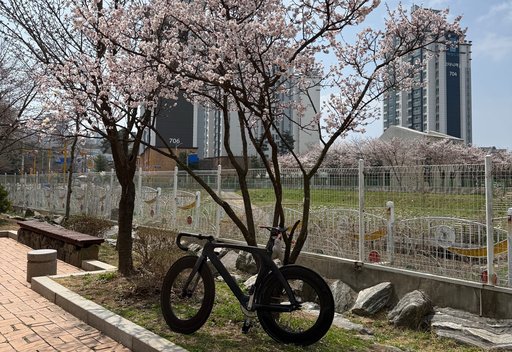 이뿌니 픽시 자전거 사진