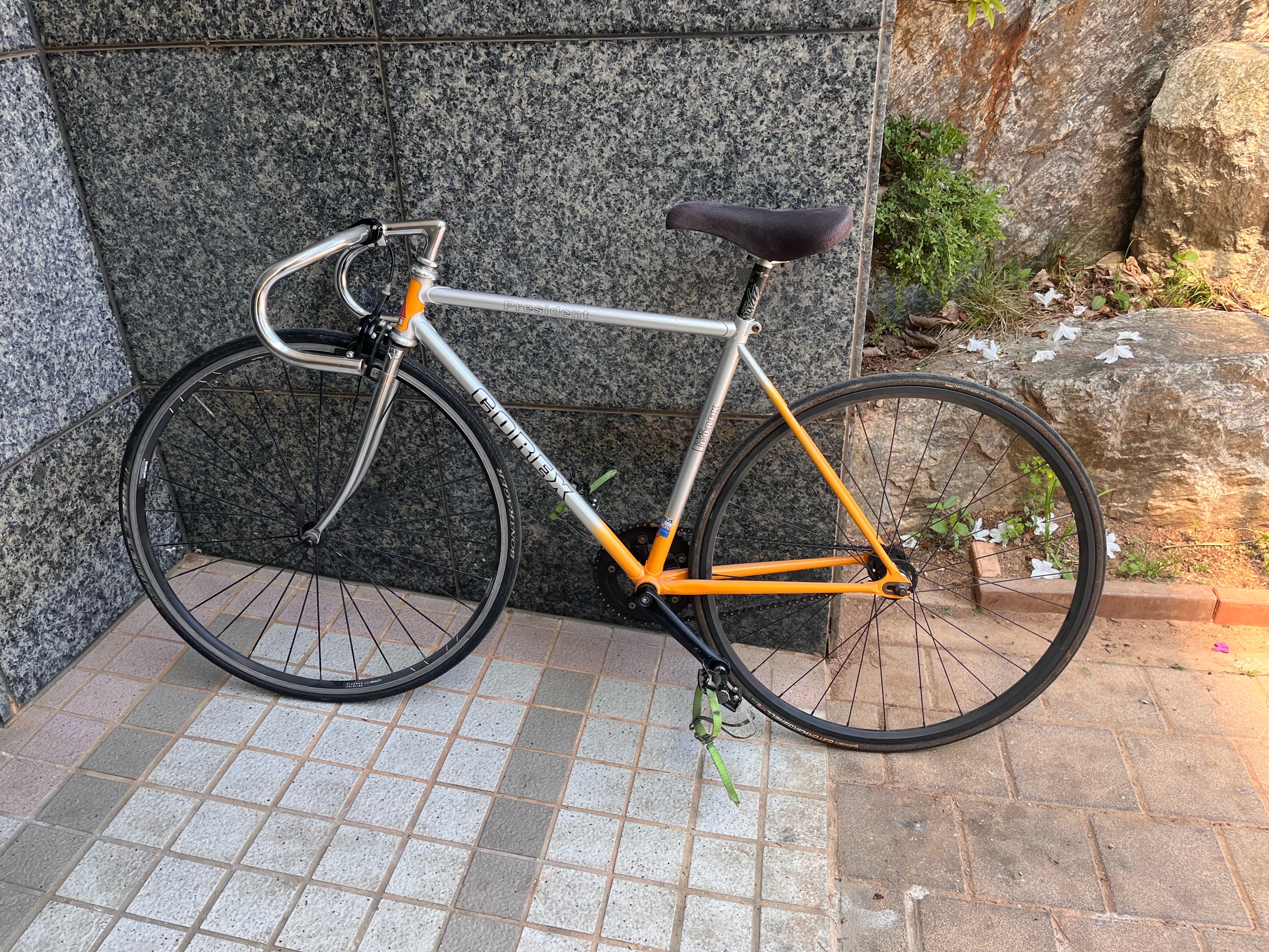 코렉스