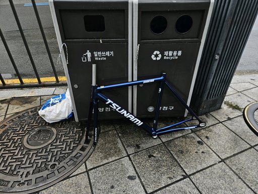 쓰나미 카멜레온
