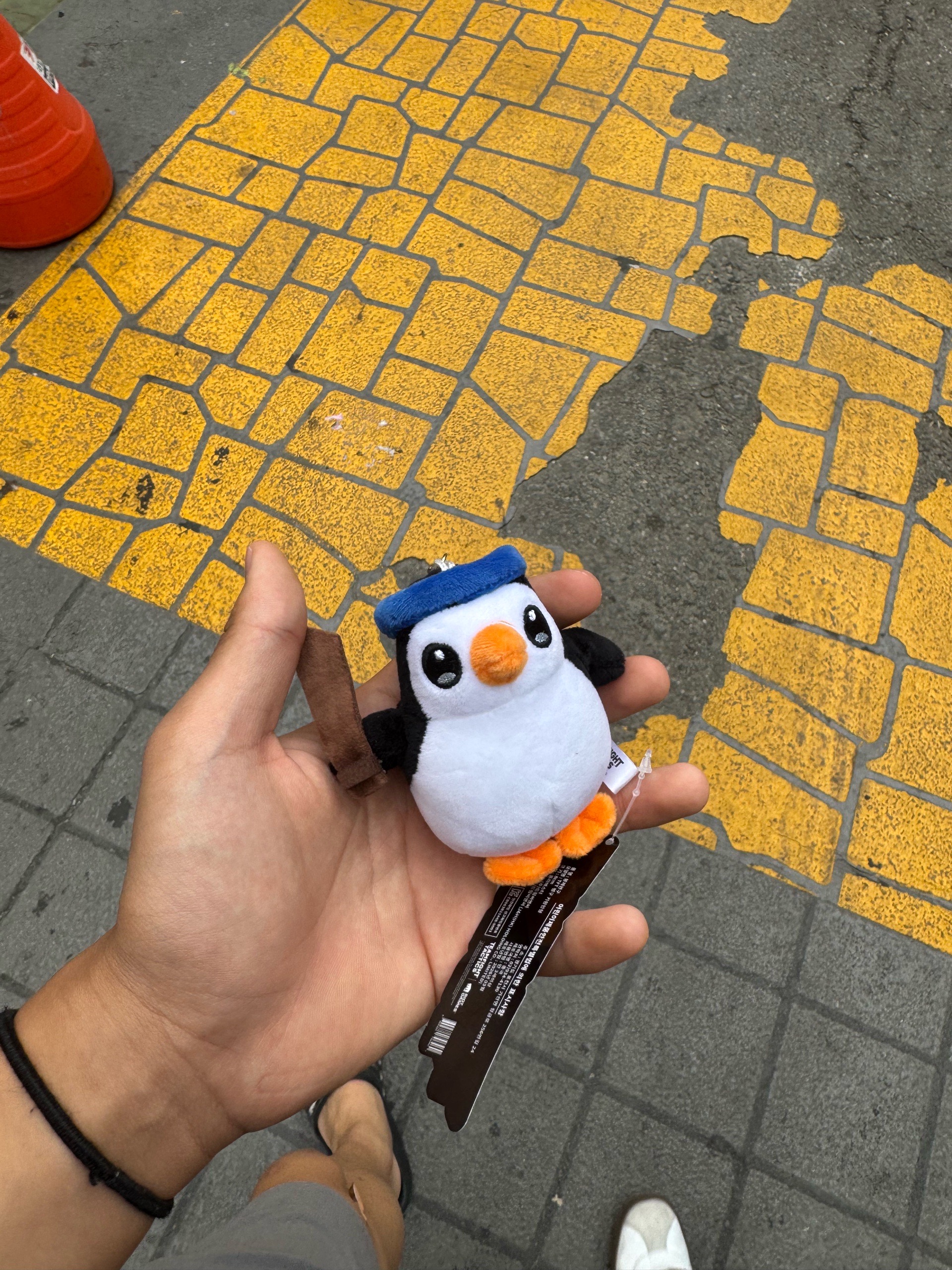 승윤
