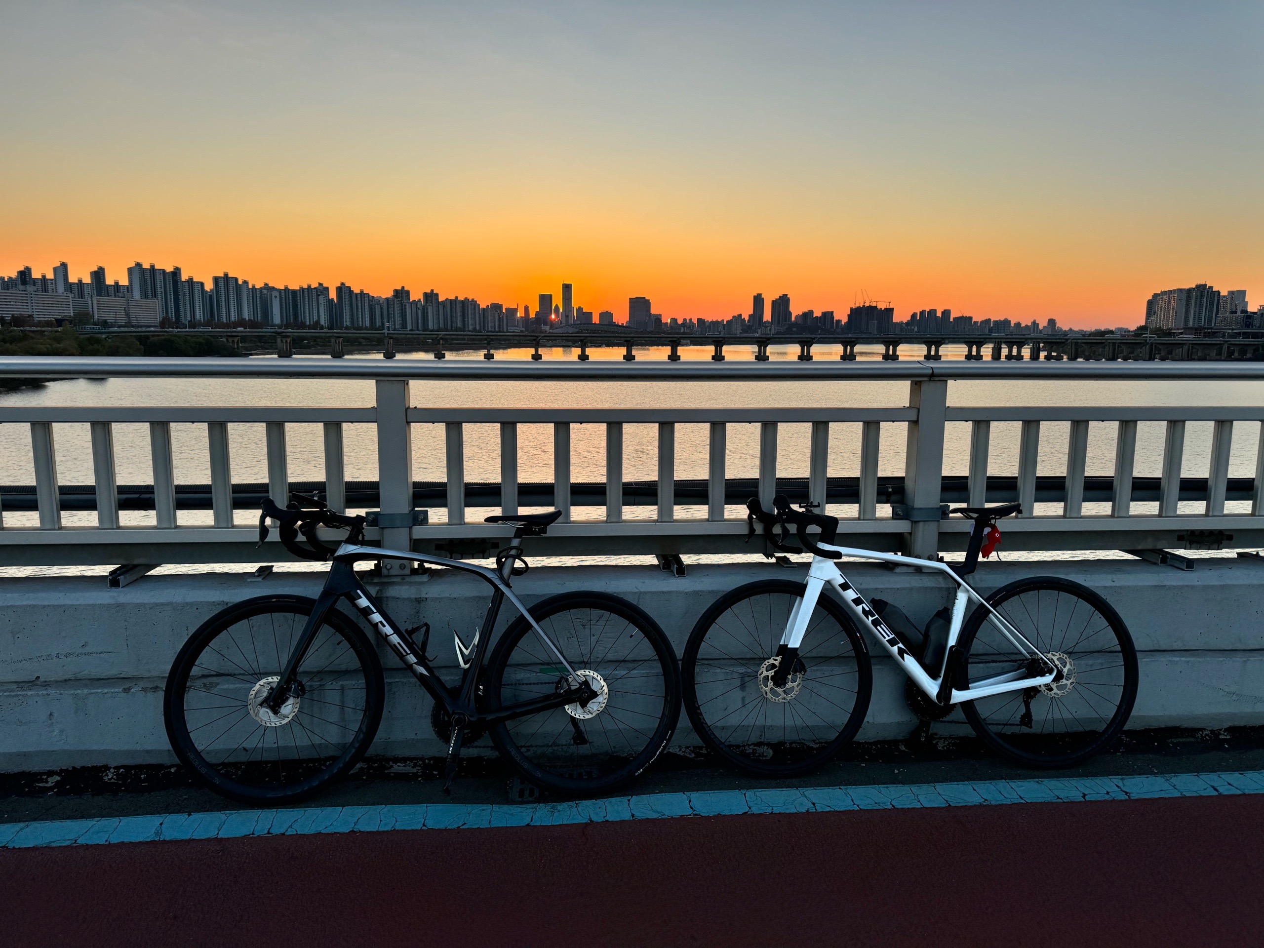 Trek Domane slr7 로드 자전거 셋업 사진 3