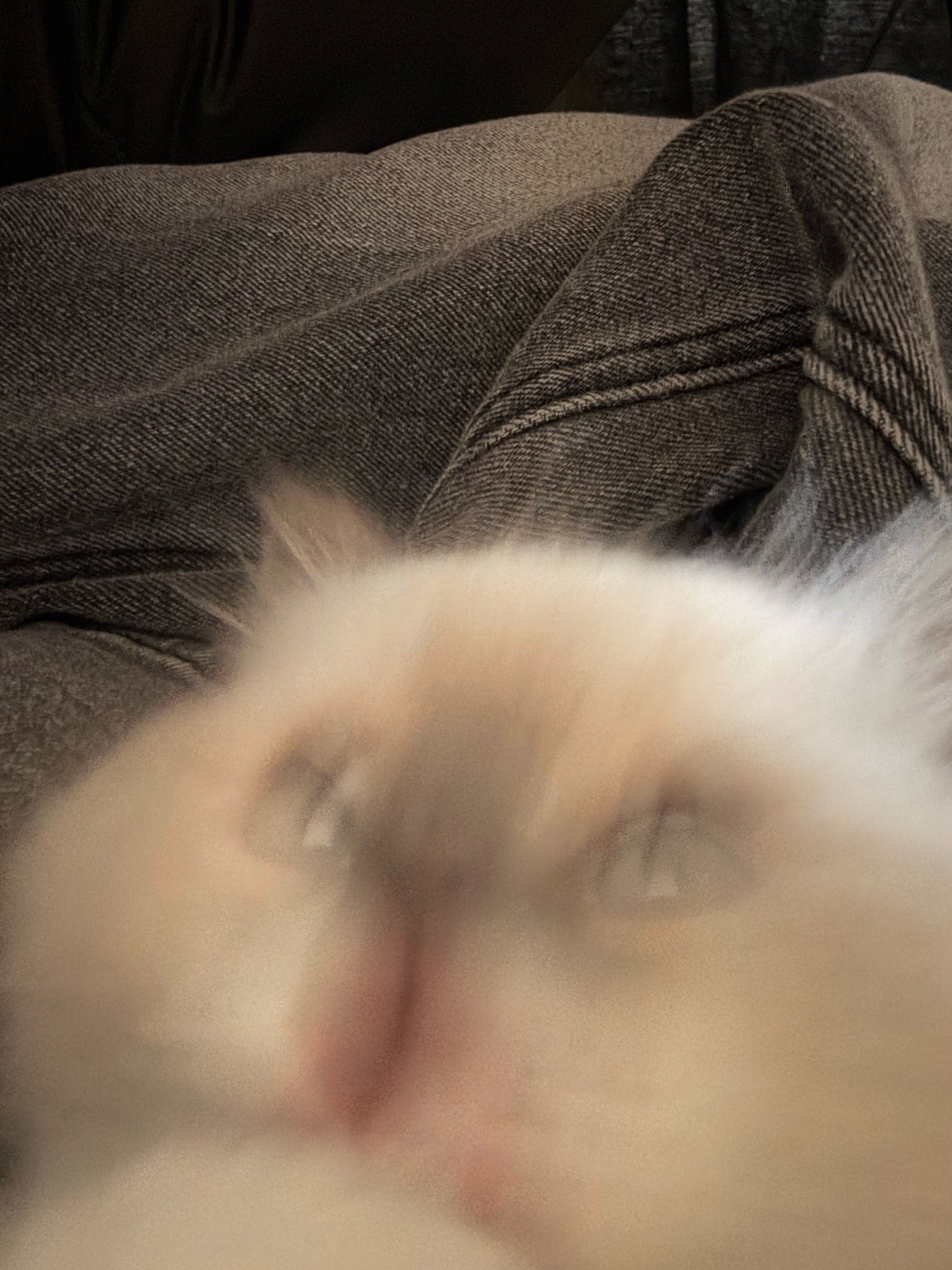 whal