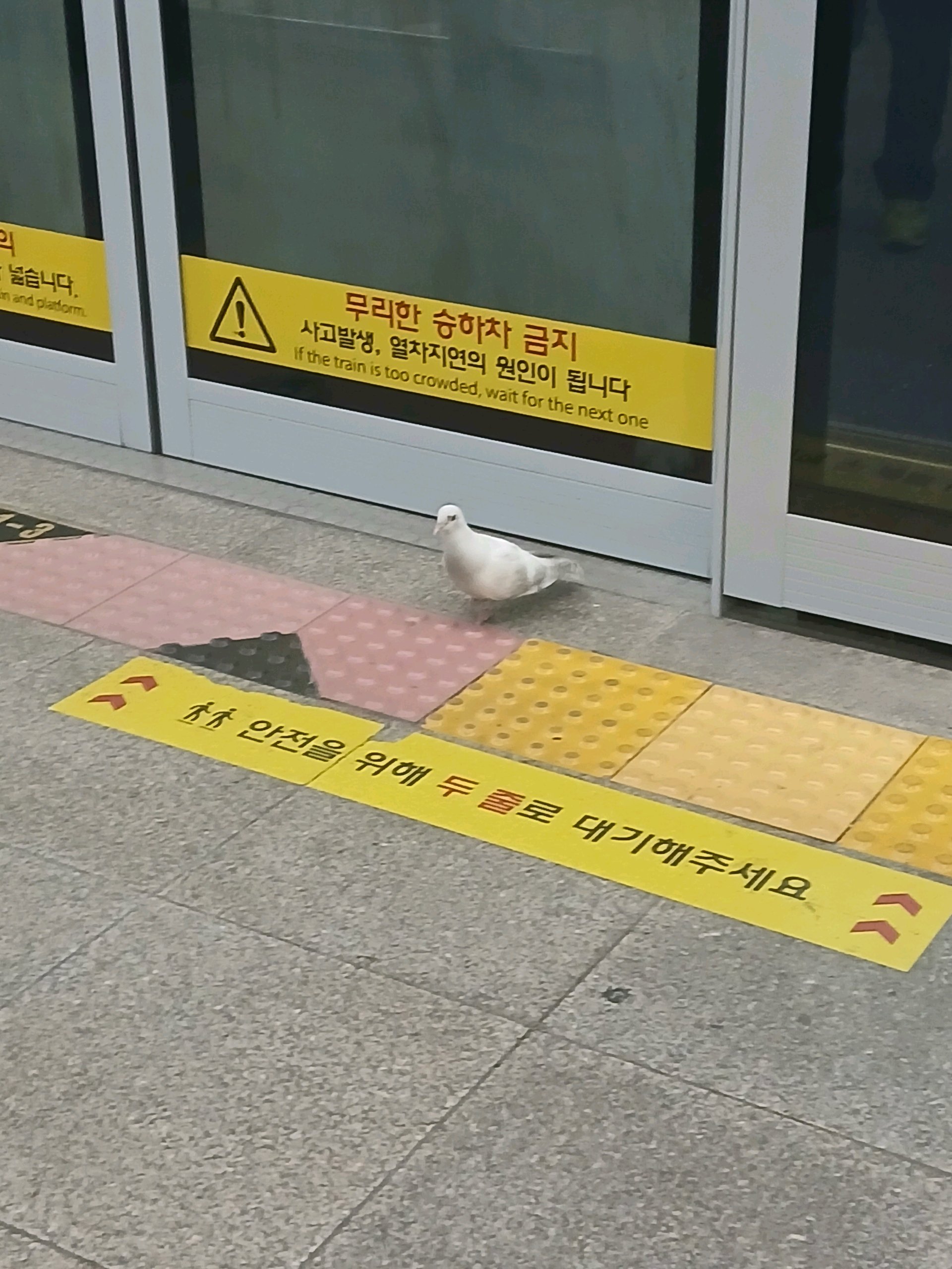 잘타고싶다