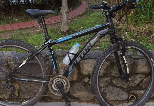알톤크랙에디션 자전거 사진