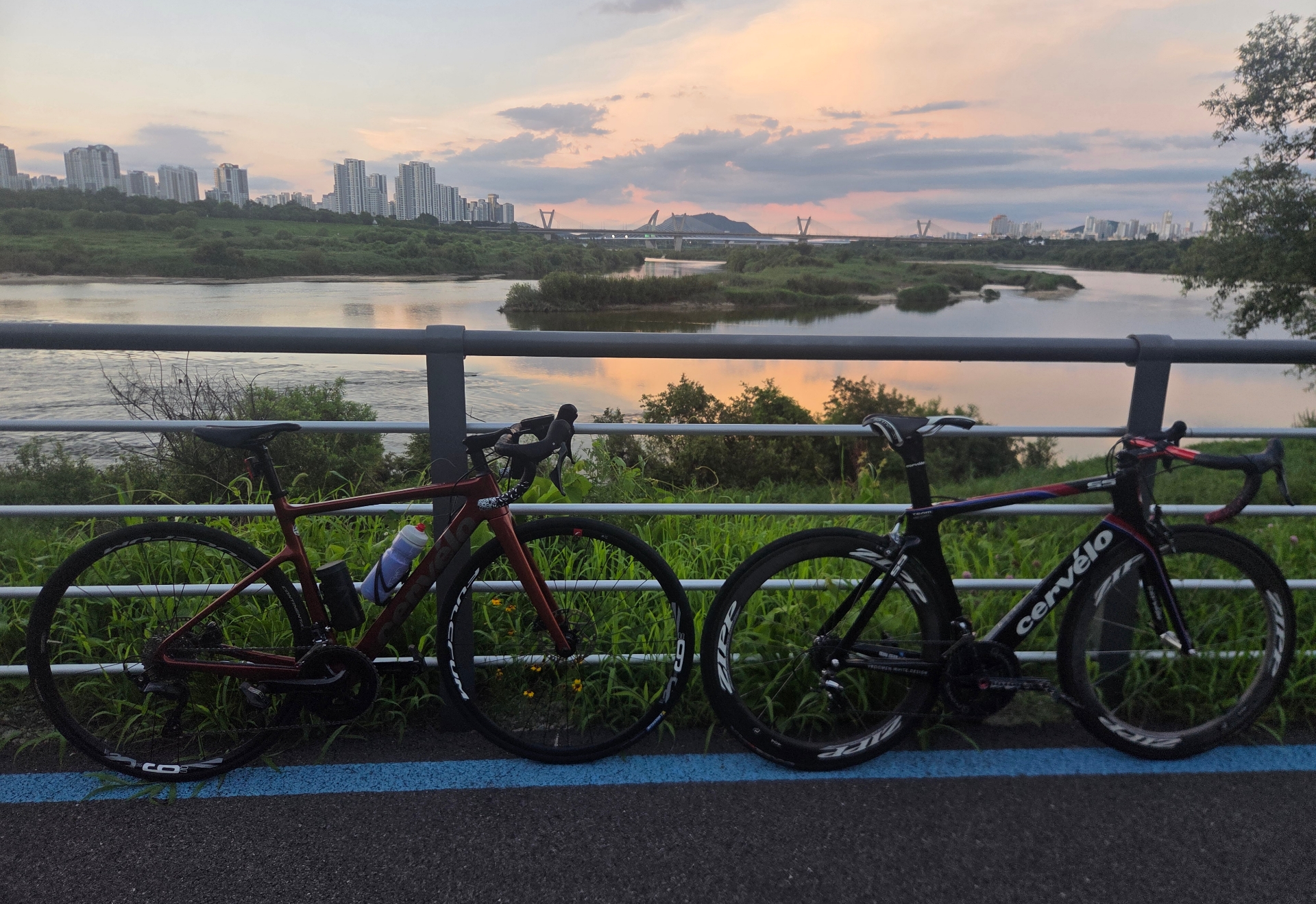 Cervélo 칼레도니아 로드 자전거 셋업 사진 8