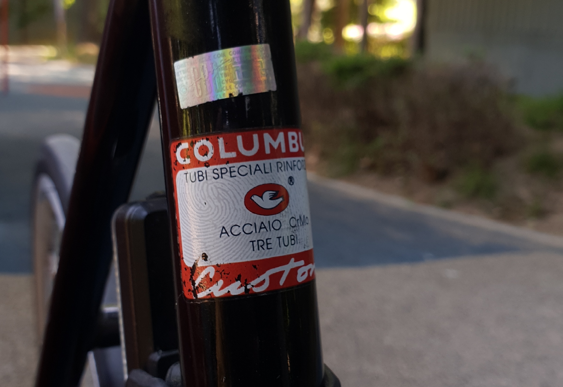Cinelli gazzeta 픽시 자전거 셋업 사진 3