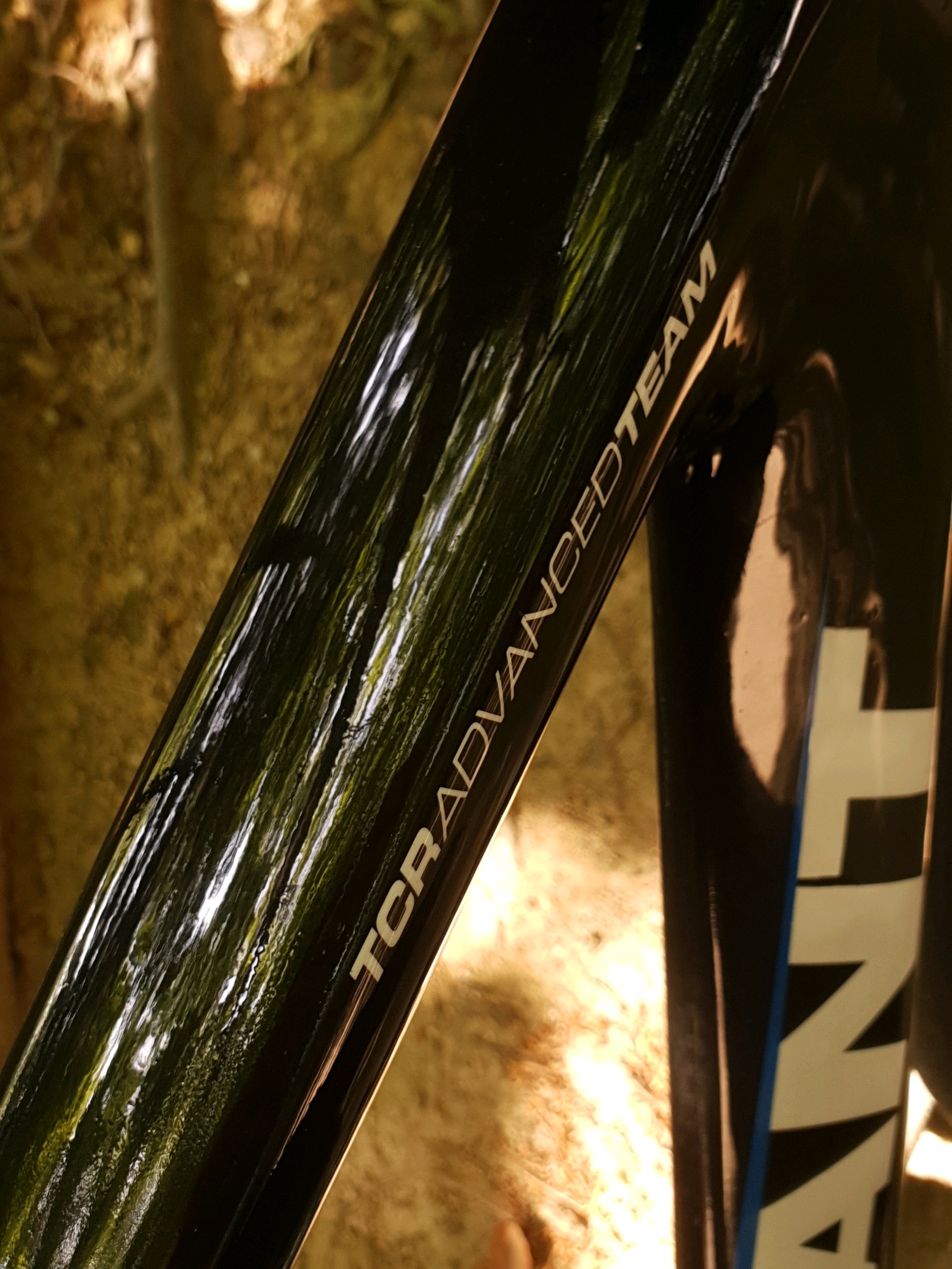 giant tcr advanced team 픽시 자전거 셋업 사진 3