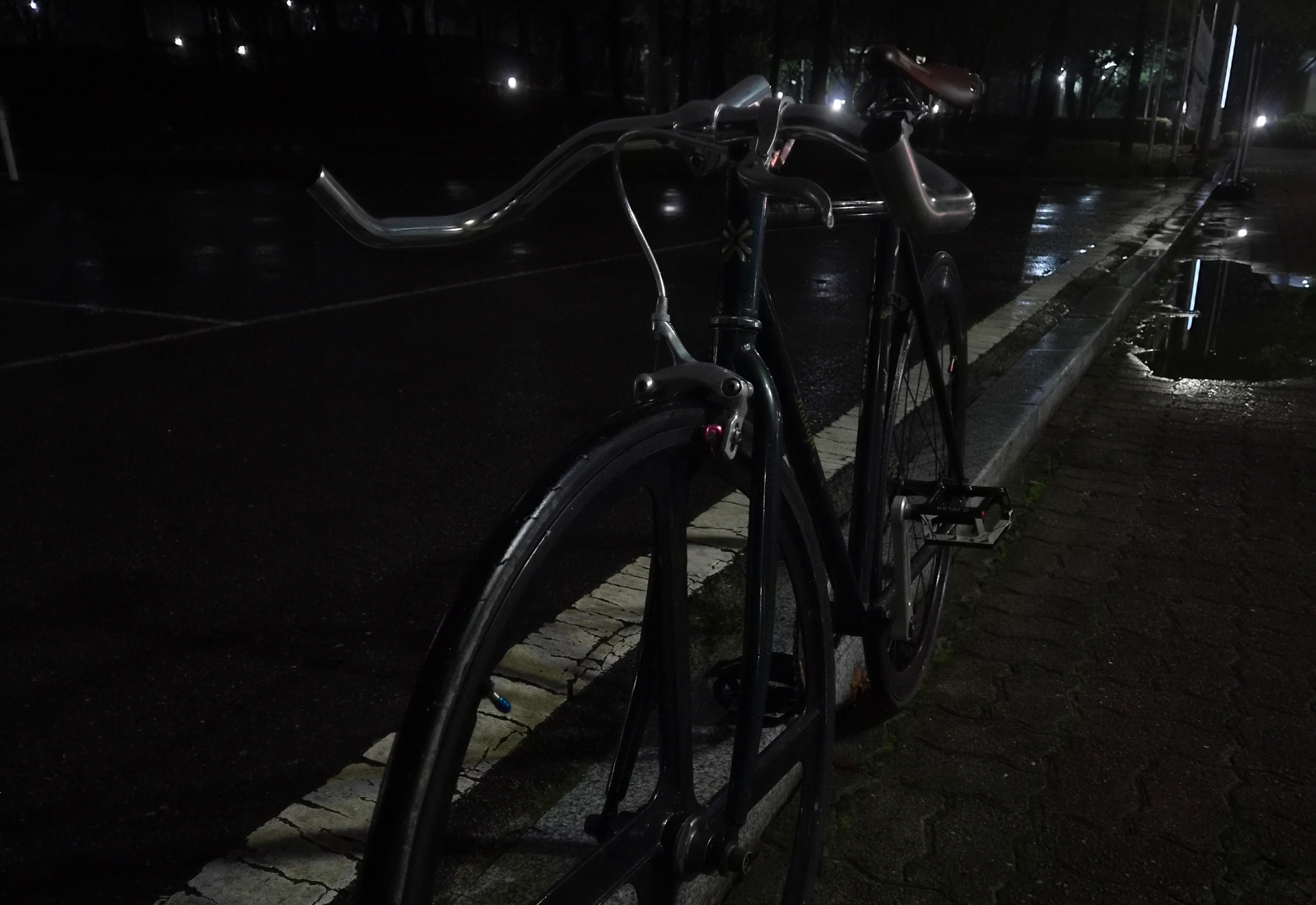 Alton Raleigh mago 픽시 자전거 셋업 사진 3
