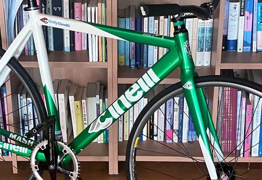 💚 픽시 자전거 사진