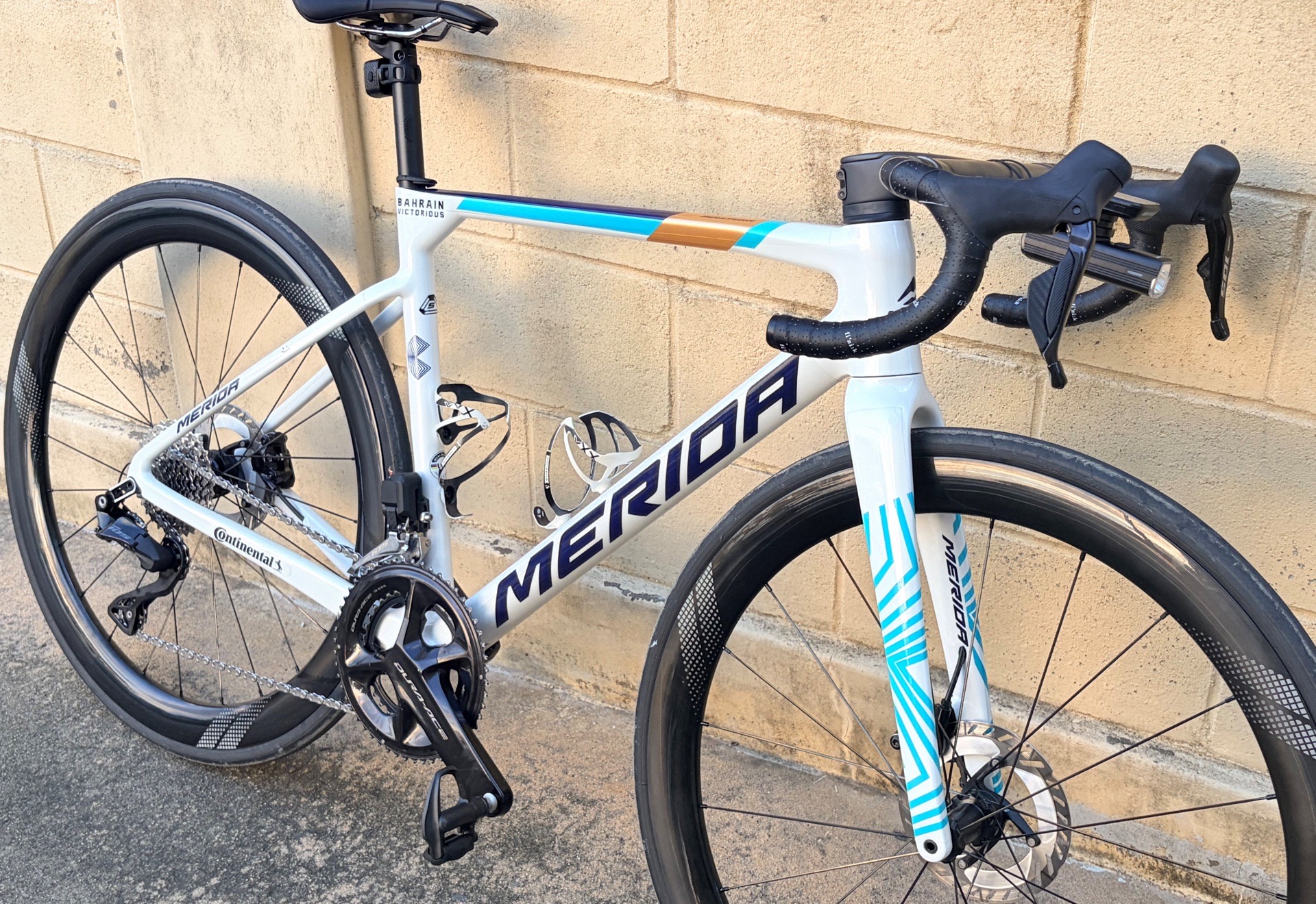 SCULTURA 6000kr
