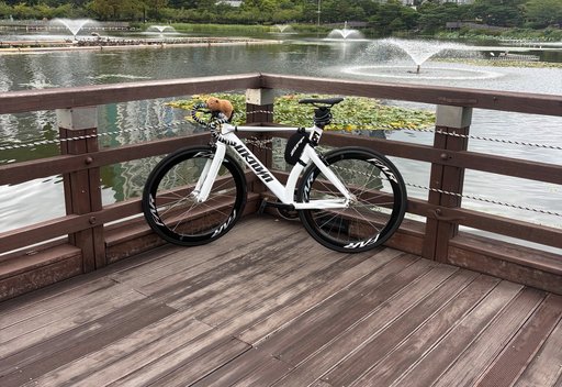 첫 잔차