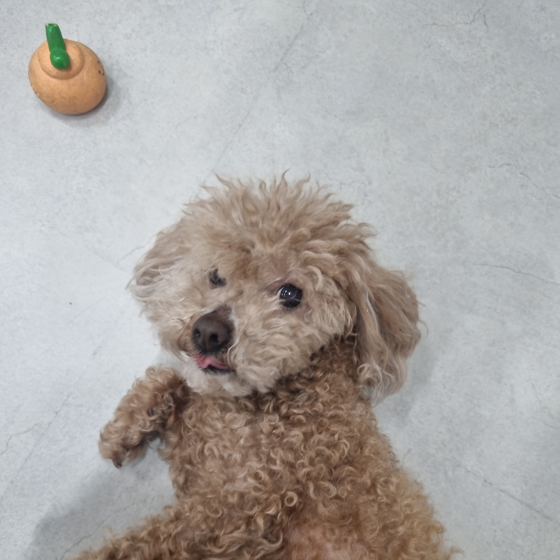 대판은대판채민