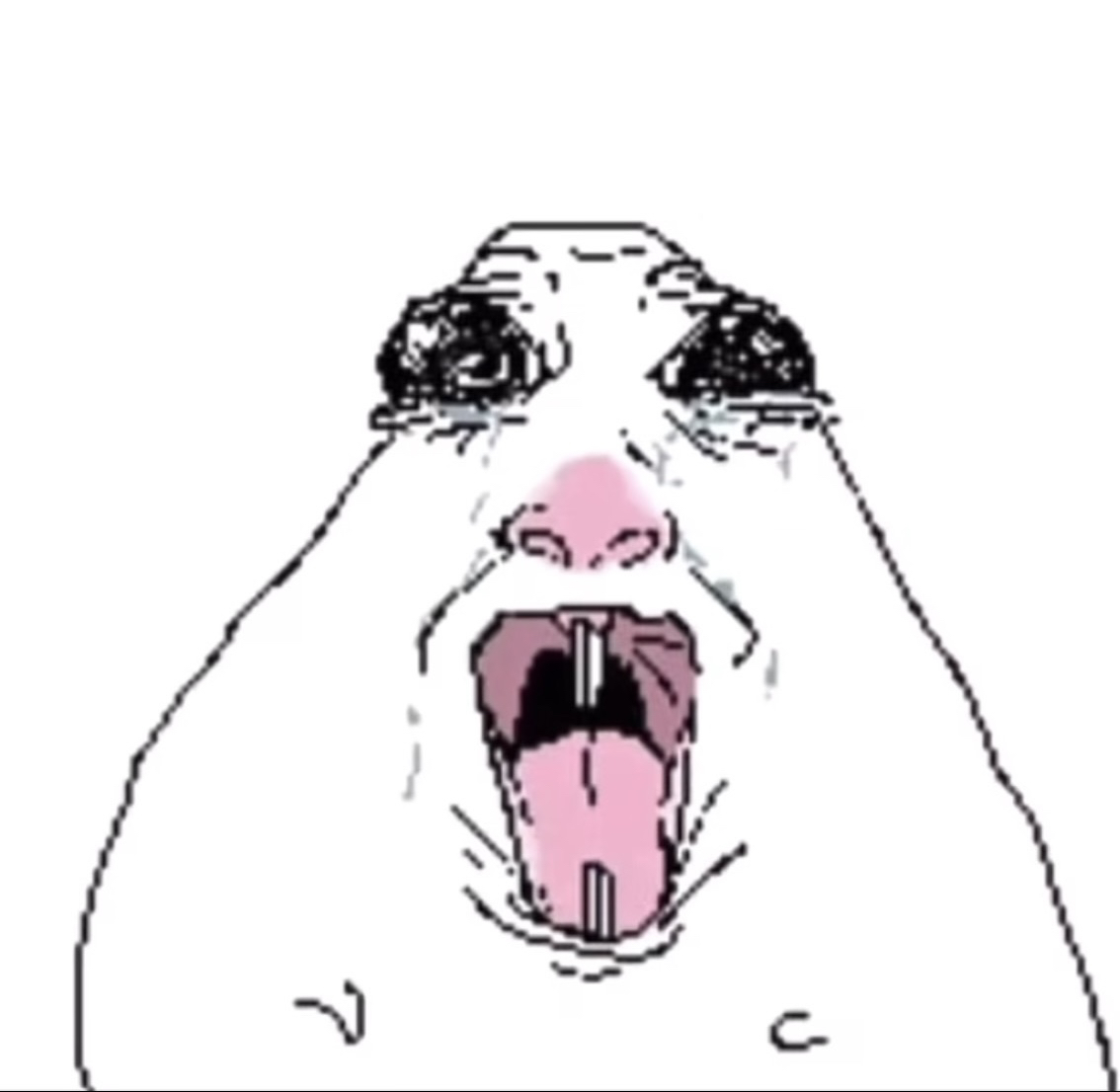 guest_user