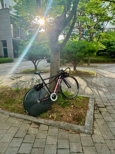 콘탄 디스페랄 마블 퍼플 신형 판/대