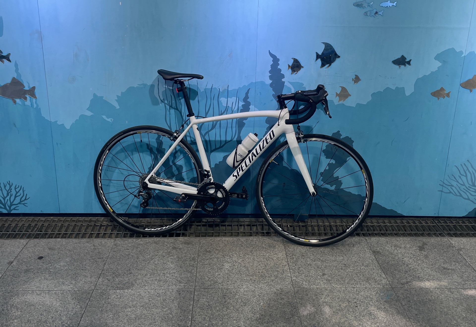 Specialized tarmac sl4 로드 자전거 셋업 사진 2