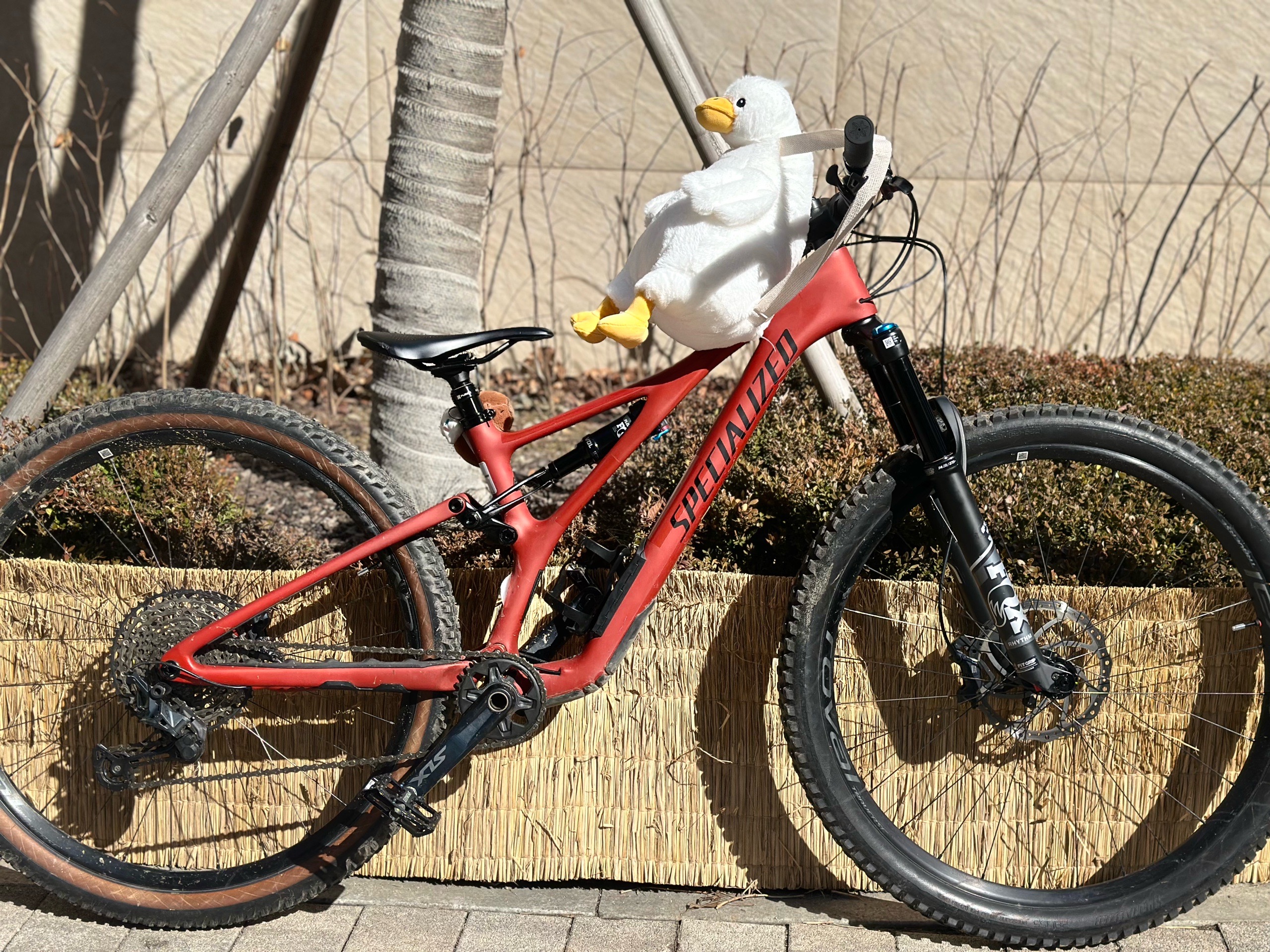 Specialized stumjumper 픽시 자전거 셋업 사진 2