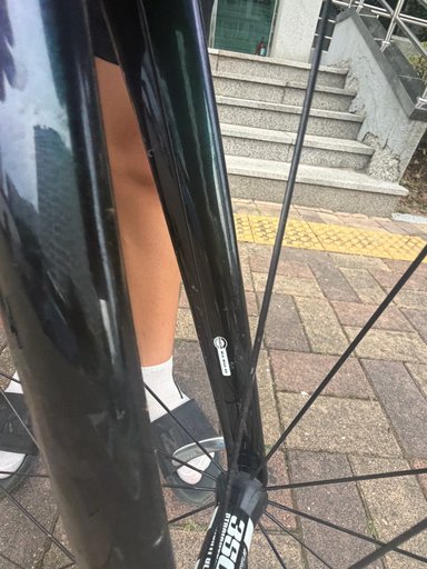 위아위스 와스지 판매/대차 봅니다