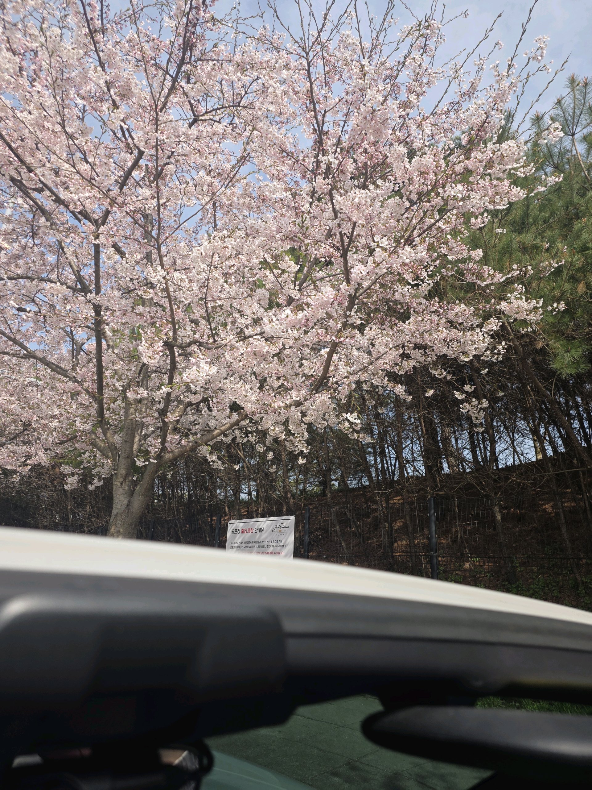 검은콩낫또