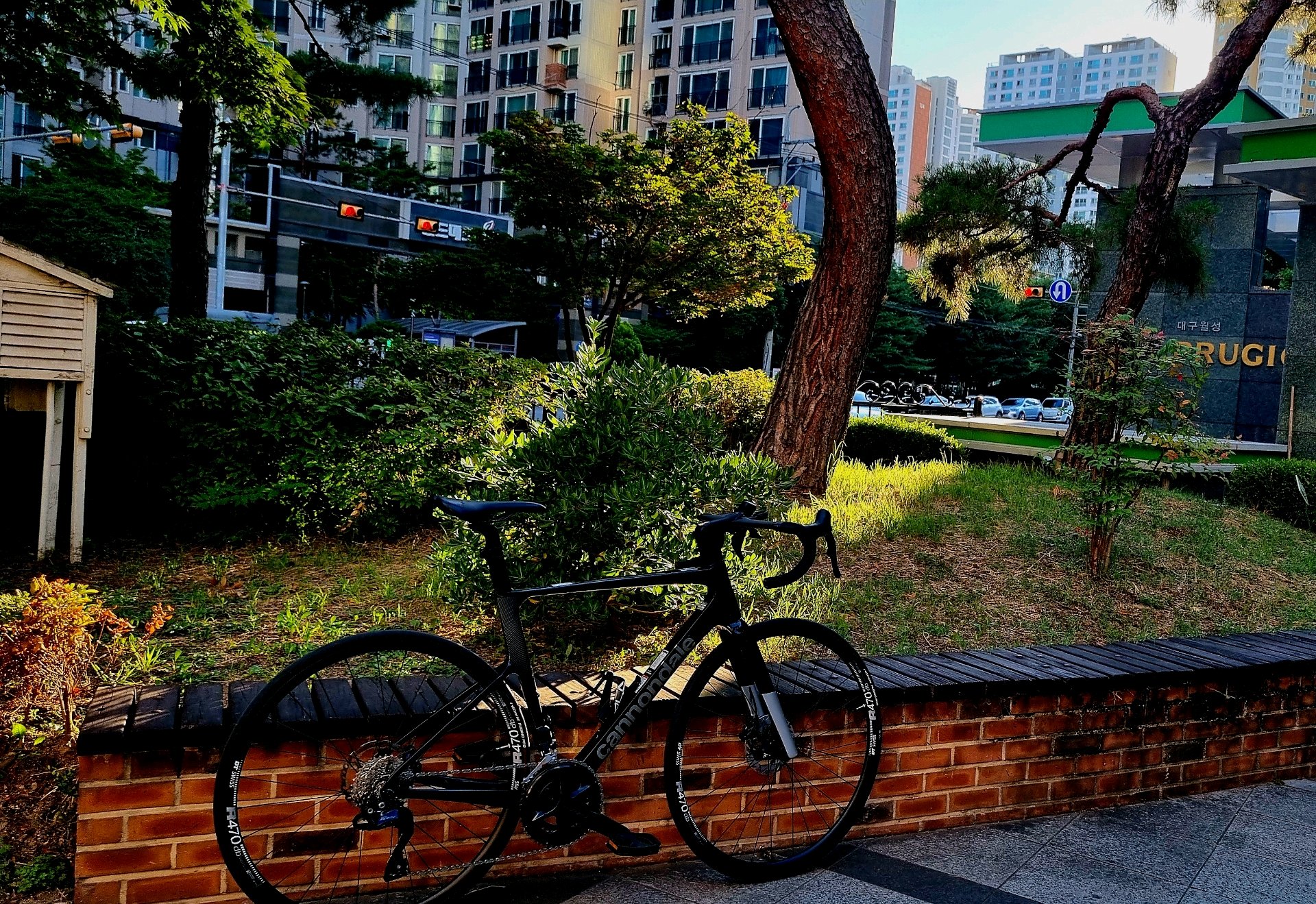 Cannondale supervisor evo 로드 자전거 셋업 사진 2