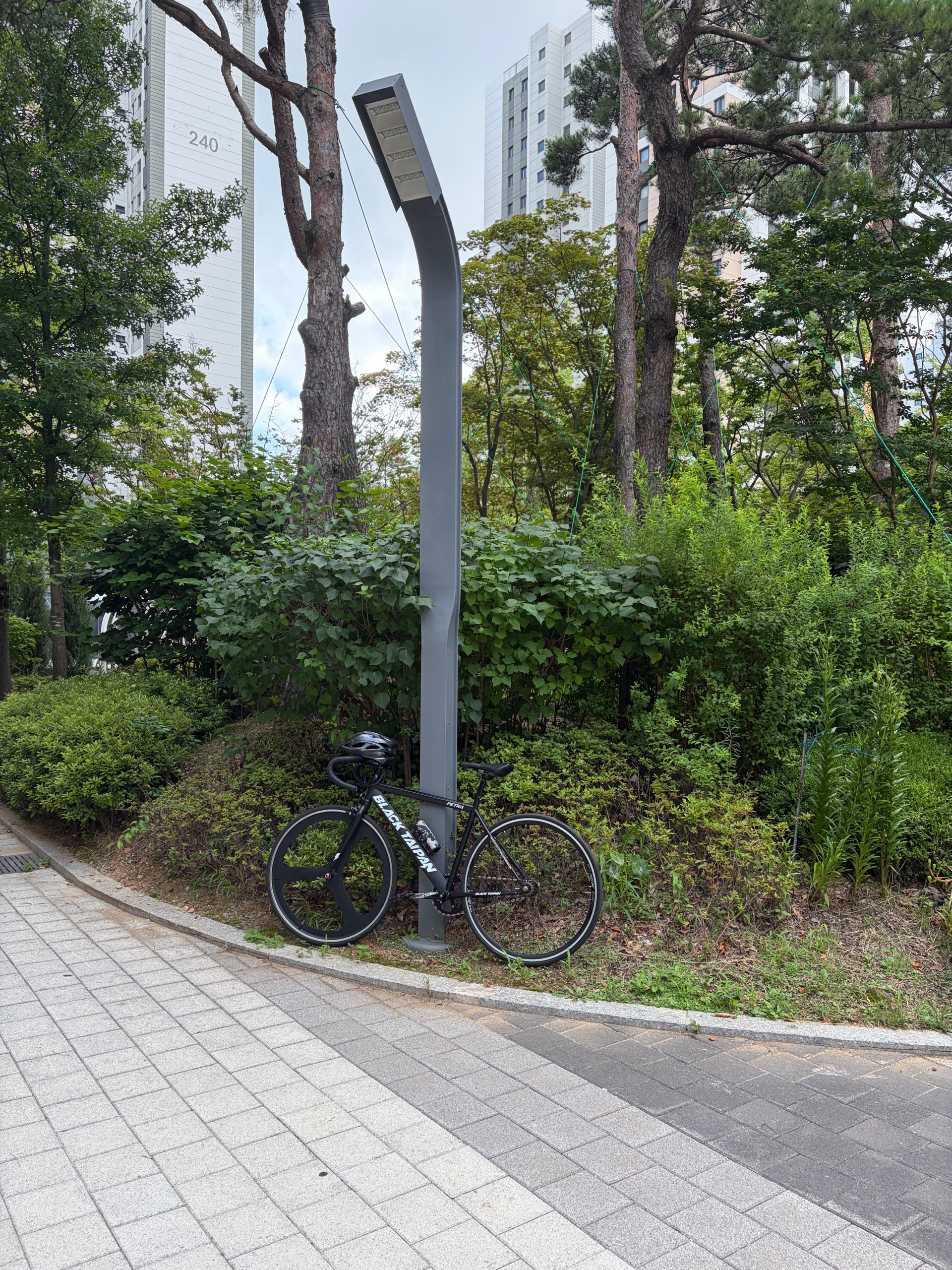 모범픽시 프로필 이미지