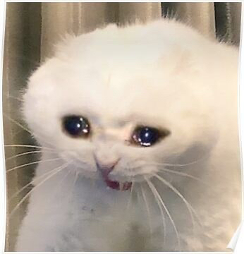 준원😓