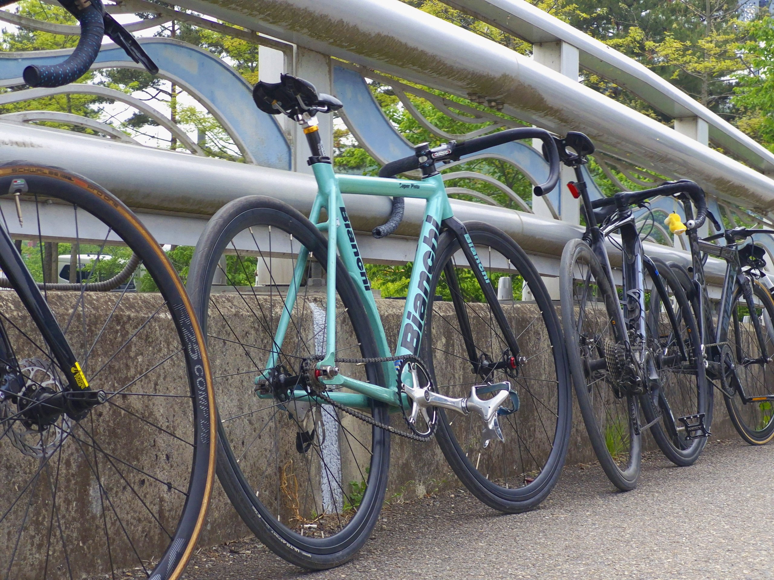 bianchi super pista 2010 픽시 자전거 셋업 사진 2