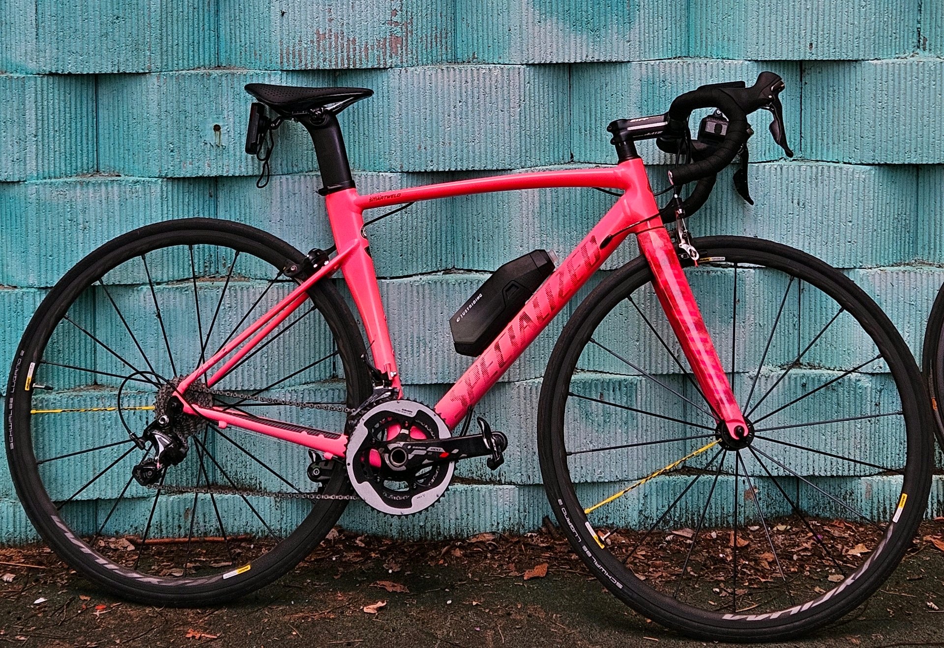 Specialized Allez sprint 로드 자전거 셋업 사진 2