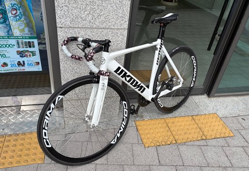 싱귤러리티 픽시 자전거 사진
