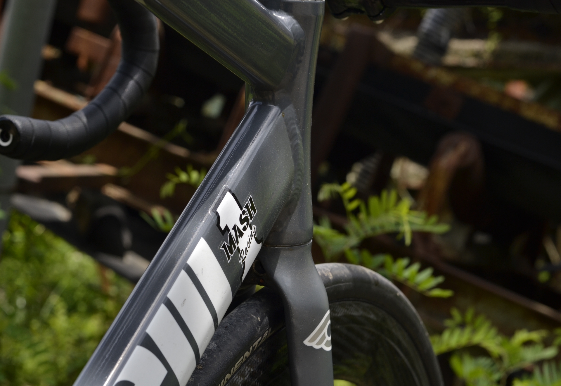 Cinelli Mash Bolt OG 픽시 자전거 셋업 사진 5