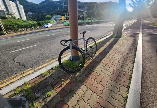 틀니딱딱 픽시 자전거 사진