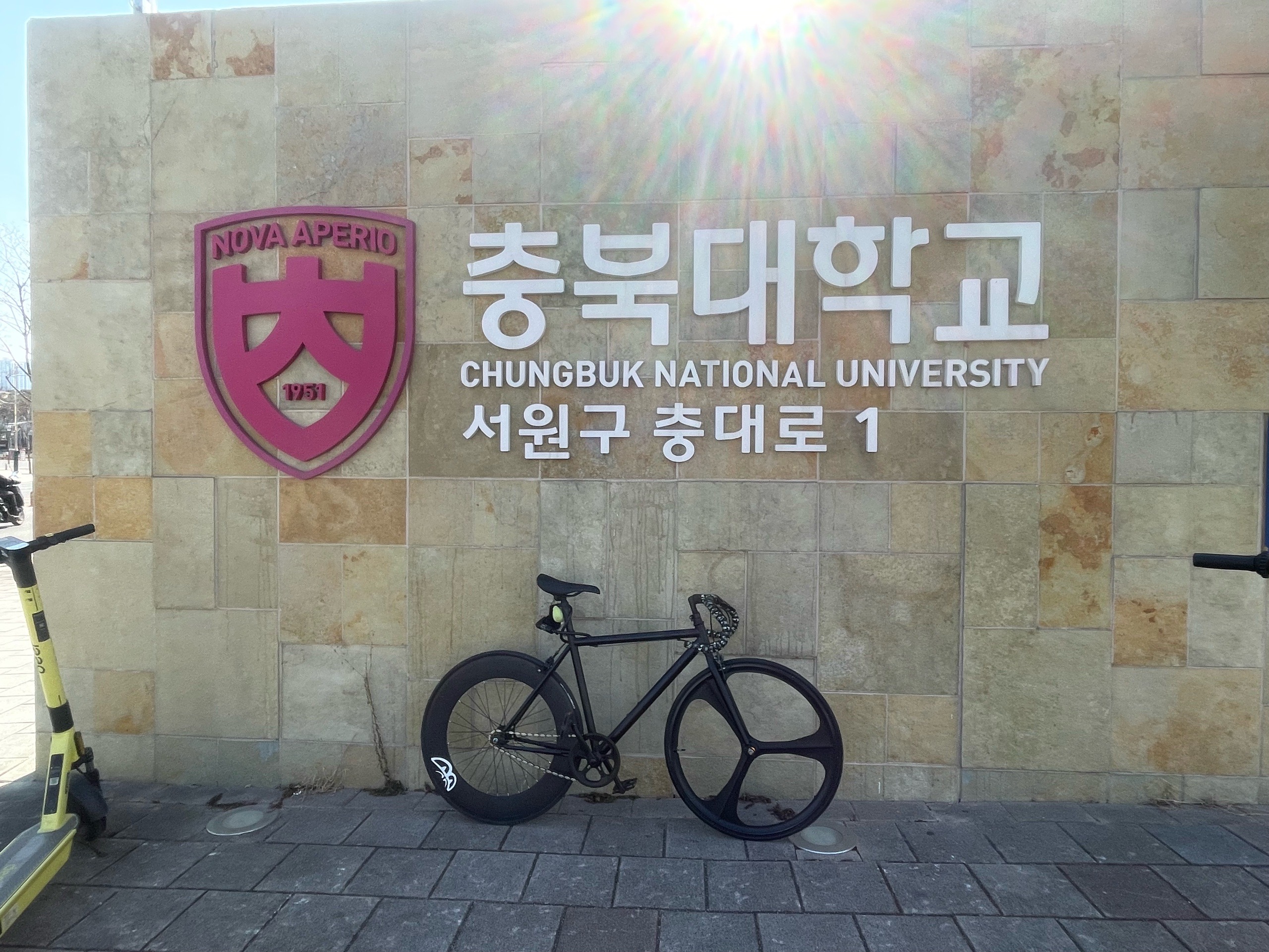 내가 접수한다